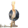 Italo Corinthian Helmet with Plume (BPHL2309) - Image 7