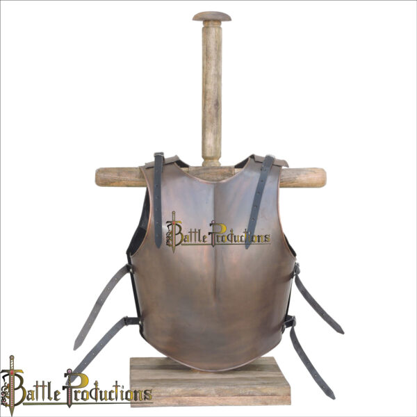 Muscle Breast and Back Plate (Copper Antique) (BPBD2907) - Image 5