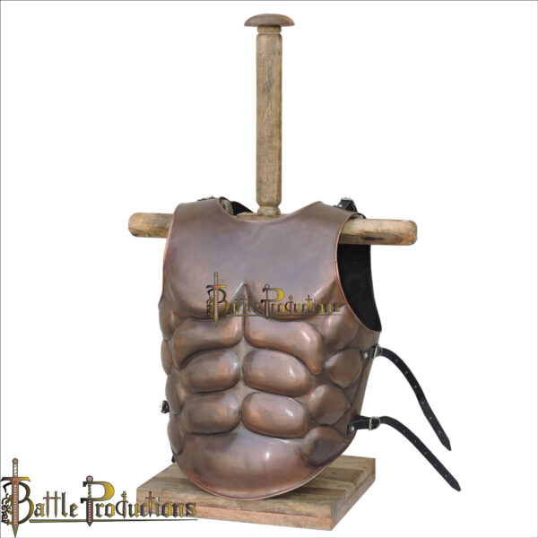 Muscle Breast and Back Plate (Copper Antique) (BPBD2907) - Image 3