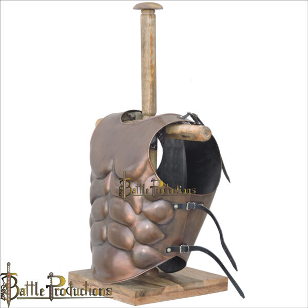 Muscle Breast and Back Plate (Copper Antique) (BPBD2907) - Image 4