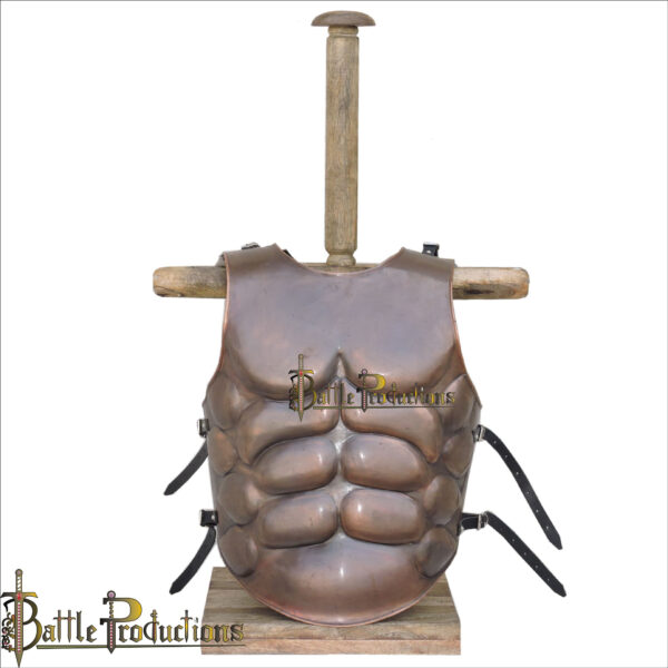 Muscle Breast and Back Plate (Copper Antique) (BPBD2907) - Image 2