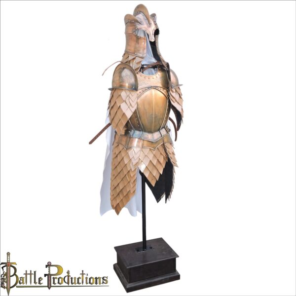 Game of Thrones King's Guard Armour Set